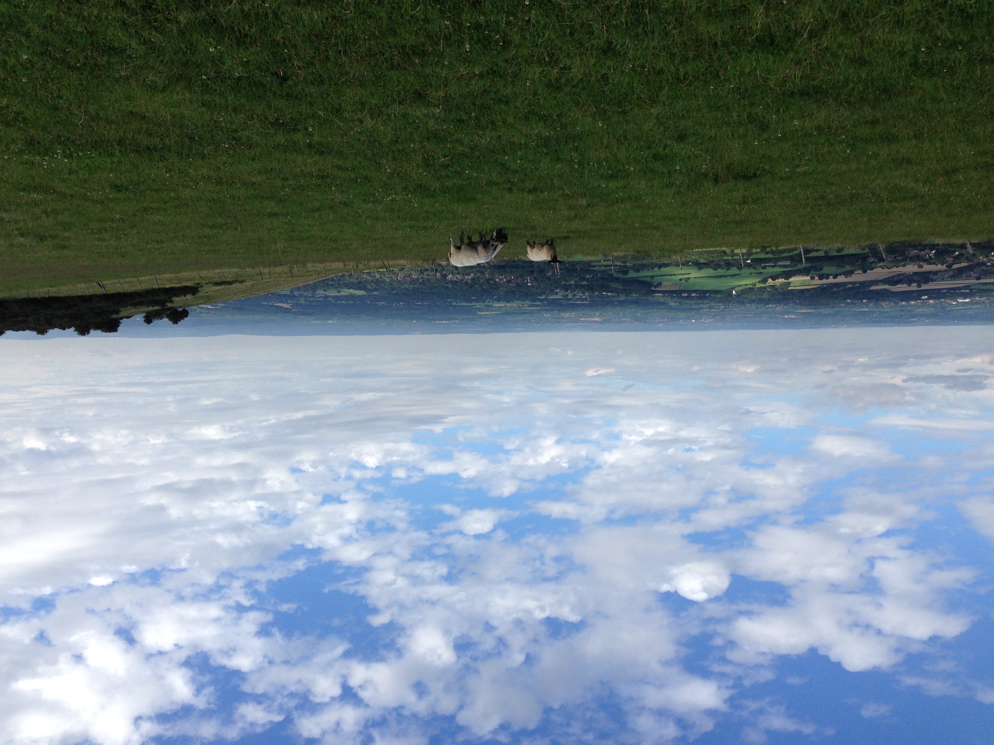 photo of the view from the south downs